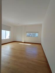 Mount Sinai (D10), Semi-Detached #554242821